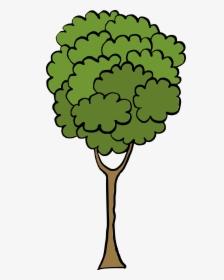Cartoon Tree 2, HD Png Download, Transparent PNG