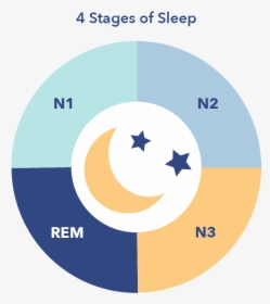 Rem Non Rem Sleep Stages, HD Png Download, Transparent PNG