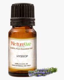 Hyssop Essential Oil 10ml - Essential Oil, HD Png Download, Transparent PNG