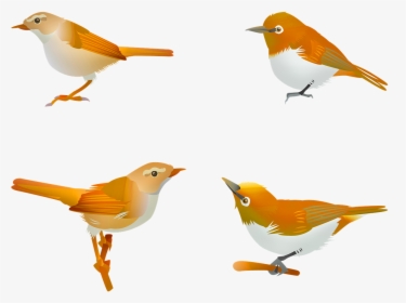 Bird Songbird Sprint Free Photo - うぐいす イラスト フリー 素材, HD Png Download, Transparent PNG