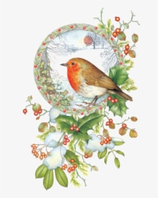 Oiseaux Birds Scrapbook Digital - European Robin Christmas Card, HD Png Download, Transparent PNG