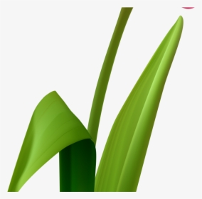Grass Clipart , Png Download - Cartoon Tulip Flower Png, Transparent Png, Transparent PNG