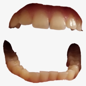 Image - Tooth, HD Png Download, Transparent PNG