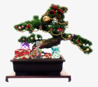 Bonsai Tree Christmas Decorations Png, Transparent Png, Transparent PNG