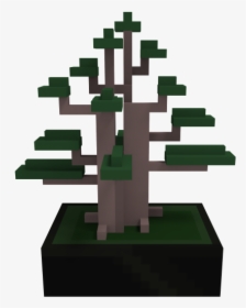 Spruce, HD Png Download, Transparent PNG