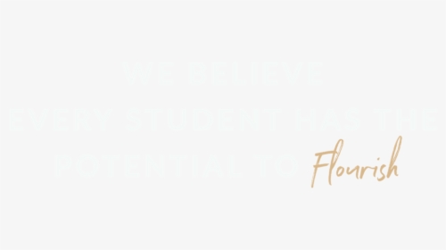Burstvision - Calligraphy, HD Png Download, Transparent PNG