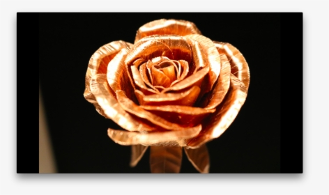 Floribunda, HD Png Download, Transparent PNG