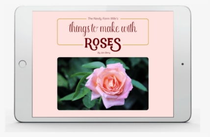 Things To Make With Roses Ebook By The Nerdy Farm Wife - Hybrid Tea Rose, HD Png Download, Transparent PNG