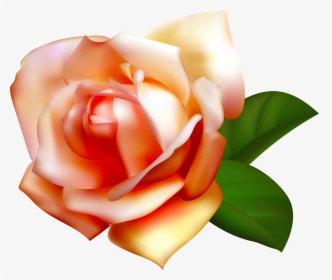 Beautiful Rose Clipart Png Image - Baby Pink Roses Transparent Background, Png Download, Transparent PNG