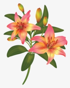 Flordeliz A Flower, HD Png Download, Transparent PNG