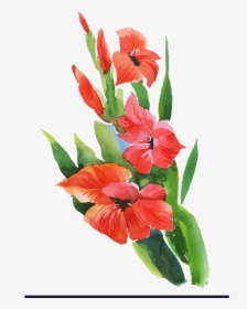 Gladiolus Freetoedit - Gladiolus, HD Png Download, Transparent PNG