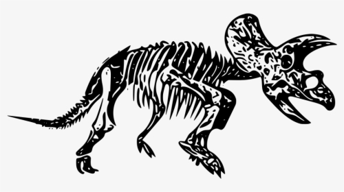 Dinosaur Fossil Transparent Background, HD Png Download, Transparent PNG