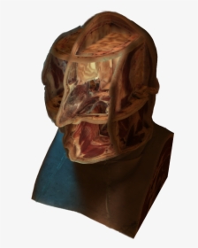 Cross-section Of A Human Head - Portable Network Graphics, HD Png Download, Transparent PNG