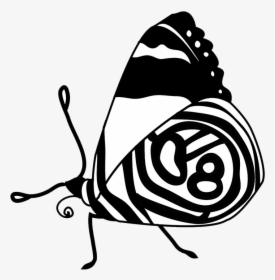 Black White Clipart Butterfly Resting - Butterfly, HD Png Download, Transparent PNG