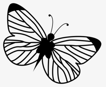 Butterfly - Butterfly Icon Free, HD Png Download, Transparent PNG