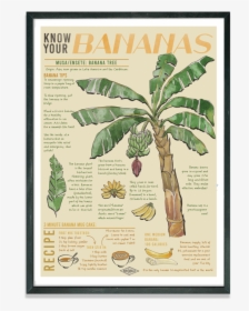 Rebsville Know Your Bananas Print Cutout, HD Png Download, Transparent PNG