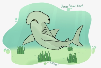 Shark Week - Cartoon, HD Png Download, Transparent PNG