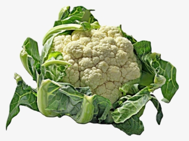 Cauliflower Cut-out Clipart - Blumenkohl, HD Png Download, Transparent PNG
