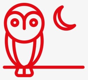 Night Owl - Owl, HD Png Download, Transparent PNG