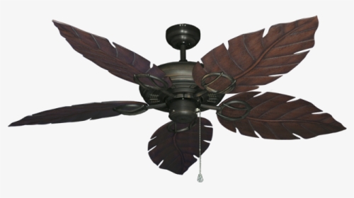 Tropical Dixie Belle Ceiling Fan With Light, HD Png Download, Transparent PNG