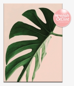 Printable Wall Art Plants, HD Png Download, Transparent PNG