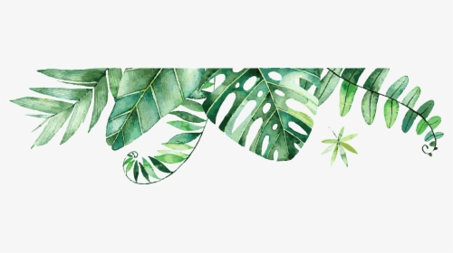 Palm Leaves Graphic - Illustration, HD Png Download, Transparent PNG