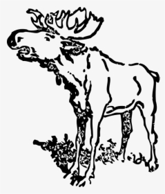 Black And White Moose Clip Art Realistic, HD Png Download, Transparent PNG