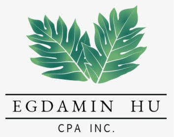 Green Monstera Leaf Logo - Label, HD Png Download, Transparent PNG