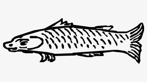 Medieval Fish Png, Transparent Png, Transparent PNG