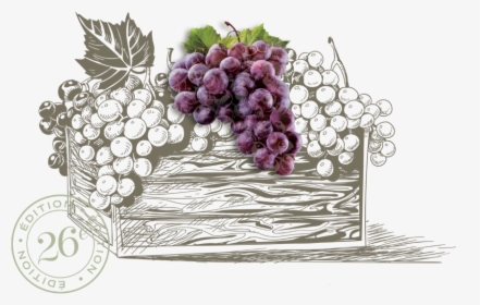 Raisins - Basket Of Fruits And Wine Drawing, HD Png Download, Transparent PNG