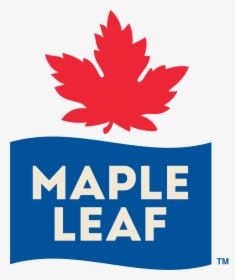 Mapleleaf Logo Pms Tm, HD Png Download, Transparent PNG