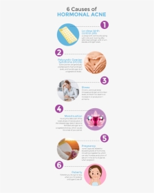 6 Causes Of Hormonal Acne Infographic - Androgen Acne, HD Png Download, Transparent PNG