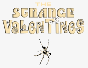 Tangle-web Spider, HD Png Download, Transparent PNG