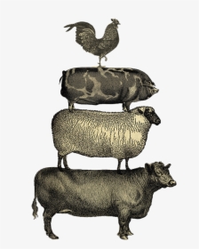 Victorian Bull Drawing, HD Png Download, Transparent PNG