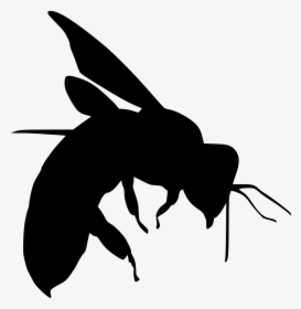 Bee - Stencils Design Birds, HD Png Download, Transparent PNG