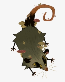 Mushroom Opossum - Illustration, HD Png Download, Transparent PNG