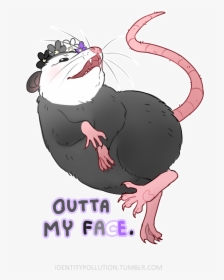 “today S Pride Opossum Of The Day Is Asexual Screw - Cat Yawns, HD Png Download, Transparent PNG