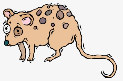 Vector Illustration Of Starry-eyed Opossum, HD Png Download, Transparent PNG
