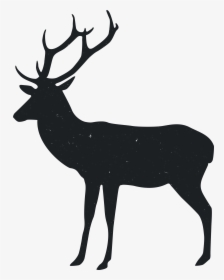 Reindeer Silhouette Animal - Animal Silhouette Png, Transparent Png, Transparent PNG