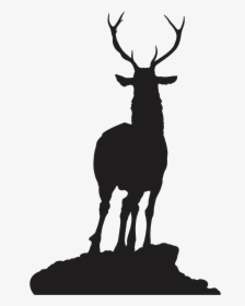 Reindeer Silhouette Elk Roe Deer - Deer Face On Silhouette, HD Png Download, Transparent PNG