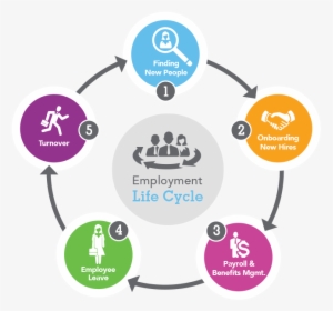 Hire To Retire Life Cycle, HD Png Download, Transparent PNG