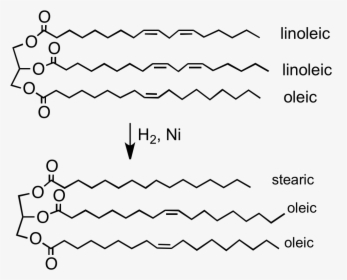 File - H2formargerin - Partial Hydrogenation, HD Png Download, Transparent PNG