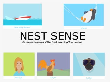 Nest Sense - Storm Chaser, HD Png Download, Transparent PNG