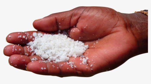 Sea Salt In Palm Of Hand Png Image, Transparent Png, Transparent PNG