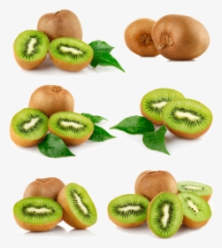 Several Kiwifruit Hd Png - Kiwi Fruit Images Hd, Transparent Png, Transparent PNG