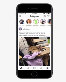 Instagram App Search - Share Content Gif, HD Png Download, Transparent PNG