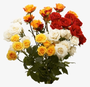 Birthday Spray Roses Flowers - Garden Roses, HD Png Download, Transparent PNG