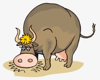 Clip Freeuse Stock Beef Clipart Cow Jersey - Cartoon Cow Eating Hay, HD Png Download, Transparent PNG