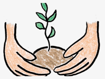 Growing Crops Cliparts - Planting Trees Clip Art, HD Png Download, Transparent PNG