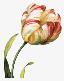 Tulips Flowers, Abstract Flowers, Flower Art, Botanical - Abstract Botanical Flowers, HD Png Download, Transparent PNG